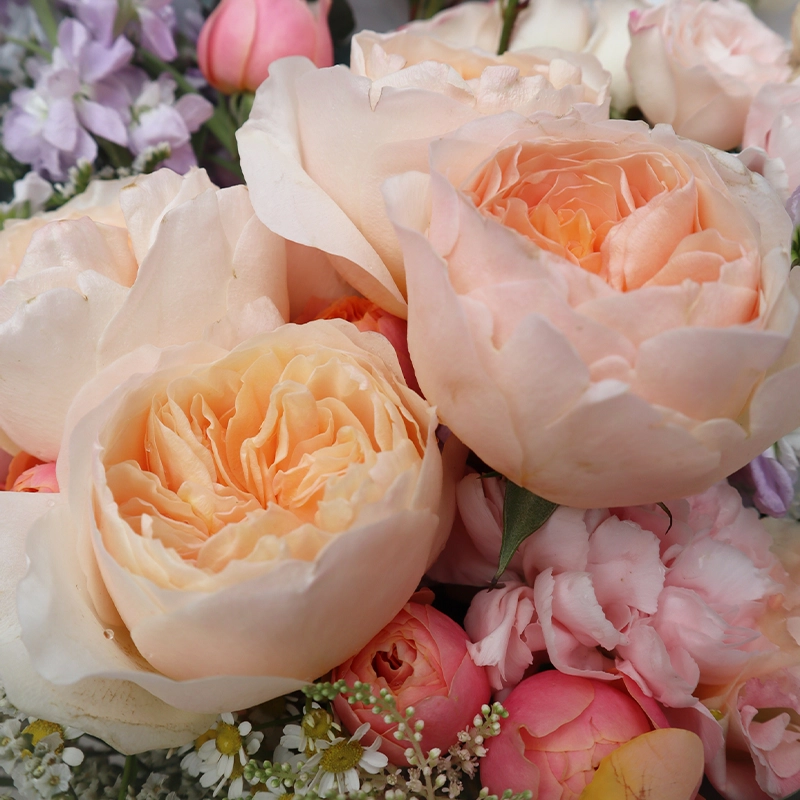 Букет Его обояние