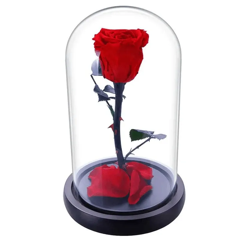 Роза в колбе красная №1